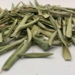 أوراق الزيتون