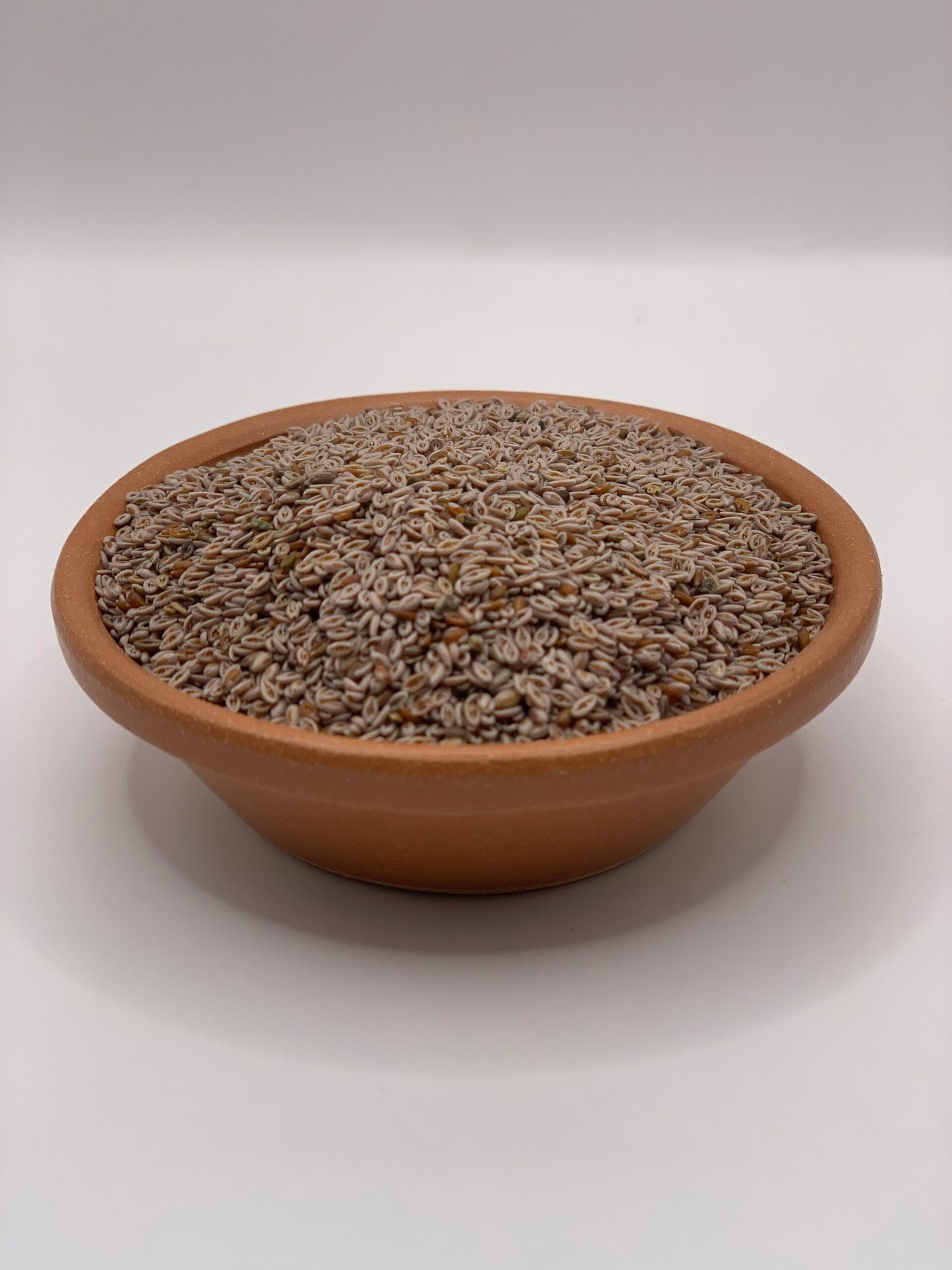 بذور القاطونة بذور القاطونة - الصورة 1